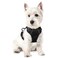 rabbitgoo Dog Harness No Pull with 2 Leash Clips Adjustable Soft Padded Reflective Oxford No Choke Pet Vest with Easy Control Handle for Puppy Black XS