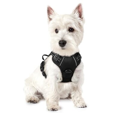rabbitgoo Dog Harness No Pull with 2 Leash Clips Adjustable Soft Padded Reflective Oxford No Choke Pet Vest with Easy Control Handle for Puppy Black XS