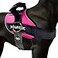 Joyride Harness 20 The Original Side Ring No Pull Dog Harness No Choke Escape Proof Reflective 3 Leash Clips Quick Fit Pet Vest Easy Walks Training for Small Medium Large Dogs
