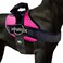 Joyride Harness 20 The Original Side Ring No Pull Dog Harness No Choke Escape Proof Reflective 3 Leash Clips Quick Fit Pet Vest Easy Walks Training for Small Medium Large Dogs