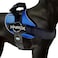 Joyride Harness 20 The Original Side Ring No Pull Dog Harness No Choke Escape Proof Reflective 3 Leash Clips Quick Fit Pet Vest Easy Walks Training for Small Medium Large Dogs