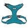 Best Pet Supplies Voyager Stepin Pet Harness All Weather Mesh Adjustable Step in Harness for Cats and Dogs by Turquoise M