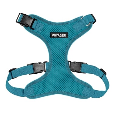 Best Pet Supplies Voyager Stepin Pet Harness All Weather Mesh Adjustable Step in Harness for Cats and Dogs by Turquoise M