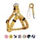 QQPETS Dog Harness Leash Set Adjustable Heavy Duty No Pull Halter Harnesses for Small Medium Large Breed Dogs Back Clip AntiTwist Perfect for Walking XS1218 Chest Girth Yellow Bee