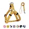 QQPETS Dog Harness Leash Set Adjustable Heavy Duty No Pull Halter Harnesses for Small Medium Large Breed Dogs Back Clip AntiTwist Perfect for Walking XS1218 Chest Girth Yellow Bee