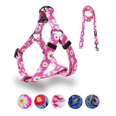 QQPETS Dog Harness Leash Set Adjustable Heavy Duty No Pull Halter Harnesses for Small Medium Large Breed Dogs Back Clip AntiTwist Perfect for Walking S1420 Chest Girth Daisy