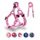 QQPETS Dog Harness Leash Set Adjustable Heavy Duty No Pull Halter Harnesses for Small Medium Large Breed Dogs Back Clip AntiTwist Perfect for Walking S1420 Chest Girth Daisy