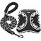 haapaw Dog Harness with Leash Set No Pull Adjustable Reflective Stepin Puppy Harness with Thickened Padded Vest for ExtraSmallSmall Medium Dogs