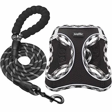 haapaw Dog Harness with Leash Set No Pull Adjustable Reflective Stepin Puppy Harness with Thickened Padded Vest for ExtraSmallSmall Medium Dogs