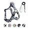 QQPETS Dog Harness Leash Set Adjustable Heavy Duty No Pull Halter Harnesses for Small Medium Large Breed Dogs Back Clip AntiTwist Perfect for Walking S1420 Chest Girth Bone