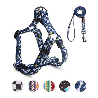 QQPETS Dog Harness Leash Set Adjustable Heavy Duty No Pull Halter Harnesses for Small Medium Large Breed Dogs Back Clip AntiTwist Perfect for Walking S1420 Chest Girth Bone
