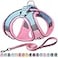 AIITLE No Pull Dog Harness and Leash Set Step in Adjustable Dog Harness with Padded Vest for All Weather Dog Leash with Soft Padded Handle Easy to Put on Small and Medium Dogs Pink S