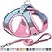 AIITLE Step in Dog Harness and Leash Set No Pull Escape Proof Vest Harnesses with Soft Mesh and Reflective Bands Adjustable Pet Outdoor Harnesses for Small and Medium Dogs Pink M