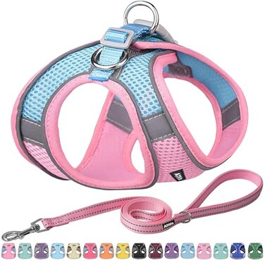 AIITLE Step in Dog Harness and Leash Set No Pull Escape Proof Vest Harnesses with Soft Mesh and Reflective Bands Adjustable Pet Outdoor Harnesses for Small and Medium Dogs Pink M