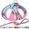 AIITLE Step in Dog Harness and Leash Set No Pull Escape Proof Vest Harnesses with Soft Mesh and Reflective Bands Adjustable Pet Outdoor Harnesses for Small and Medium Dogs Pink M