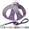 AIITLE Comfortable Dog Harness and Leash Set for Walking Step in Vest HarnessReflective Bands Adjustable No Pull Puppy Essentials for Small Dogs and House Cats Purple XS