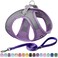 AIITLE Comfortable Dog Harness and Leash Set for Walking Step in Vest HarnessReflective Bands Adjustable No Pull Puppy Essentials for Small Dogs and House Cats Purple XS