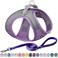 AIITLE Comfortable Dog Harness and Leash Set for Walking Step in Vest HarnessReflective Bands Adjustable No Pull Puppy Essentials for Small Dogs and House Cats Purple XS