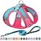 AIITLE Step in Dog Harness and Leash Set No Pull Escape Proof Vest Harnesses with Soft Mesh and Reflective Bands Adjustable Pet Outdoor Harnesses for Small and Medium Dogs Hot Pink M