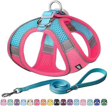 AIITLE Step in Dog Harness and Leash Set No Pull Escape Proof Vest Harnesses with Soft Mesh and Reflective Bands Adjustable Pet Outdoor Harnesses for Small and Medium Dogs Hot Pink M