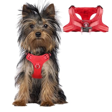 BARKBAY Dog Harness Step in Dog Vest Harness Reflective Adjustable Puppy No Pull Harness Breathable Soft for Small and Medium Dogs Cats Red XXS