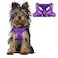 BARKBAY Dog Harness Step in Dog Vest Harness Reflective Adjustable Puppy No Pull Harness Breathable Soft for Small and Medium Dogs Cats Purple XXS