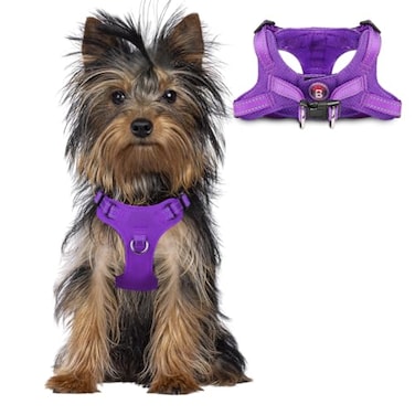 BARKBAY Dog Harness Step in Dog Vest Harness Reflective Adjustable Puppy No Pull Harness Breathable Soft for Small and Medium Dogs Cats Purple XXS