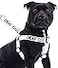 Dexil Limited Deaf Dog White Color Coded LXL Non Pull Dog Harness Prevents Accidents by Warning Others of Your Dog in Advance