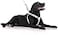 Dexil Limited Deaf Dog White Color Coded LXL Non Pull Dog Harness Prevents Accidents by Warning Others of Your Dog in Advance