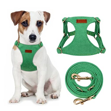 CHEDE No Pull Puppy Harness and Multifunction Dog Leash Set 8 Colors Soft Adjustable No Choke Escape Proof CuteLightweight Pet Vest Harness for Small and Medium Dog S Green
