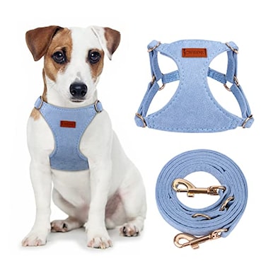 CHEDE No Pull Puppy Harness and Multifunction Dog Leash Set 8 Colors Soft Adjustable No Choke Escape Proof CuteLightweight Pet Vest Harness for Small and Medium Dog S Blue