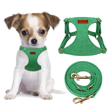 CHEDE No Pull Puppy Harness and Multifunction Dog Leash Set 8 Colors Soft Adjustable No Choke Escape Proof CuteLightweight Pet Vest Harness for Small and Medium Dog XXS Green