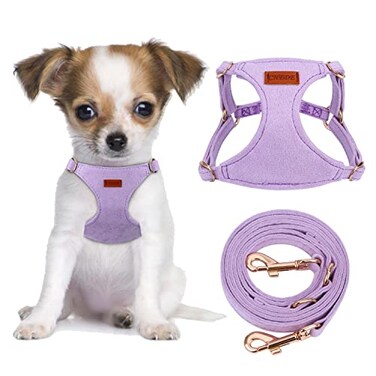 CHEDE No Pull Puppy Harness and Multifunction Dog Leash Set 8 Colors Soft Adjustable No Choke Escape Proof CuteLightweight Pet Vest Harness for Small and Medium Dog XS Purple