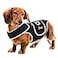 RIXBEO Dog Back Brace for IVDD and Slipped Discs Ideal for Dachshunds Corgis Providing Spinal Stability and Pain Relief M