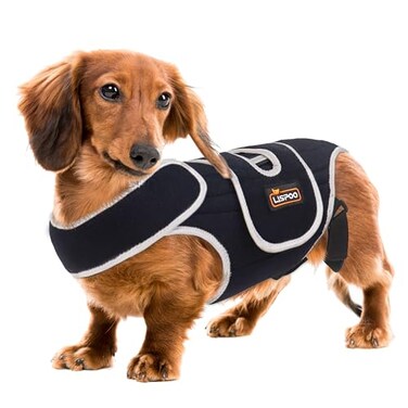 RIXBEO Dog Back Brace for IVDD and Slipped Discs Ideal for Dachshunds Corgis Providing Spinal Stability and Pain Relief M