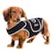 RIXBEO Dog Back Brace for IVDD and Slipped Discs Ideal for Dachshunds Corgis Providing Spinal Stability and Pain Relief M