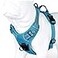 JUXZH Truelove No Pull Dog Harness with Easy Control Handle and 2 Leash AttachmentsReflective Adjustable Pet Vest