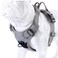 JUXZH Truelove No Pull Dog Harness with Easy Control Handle and 2 Leash AttachmentsReflective Adjustable Pet Vest