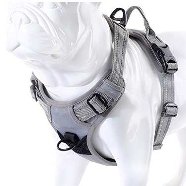 JUXZH Truelove No Pull Dog Harness with Easy Control Handle and 2 Leash AttachmentsReflective Adjustable Pet Vest