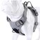 JUXZH Truelove No Pull Dog Harness with Easy Control Handle and 2 Leash AttachmentsReflective Adjustable Pet Vest