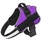 Bolux Dog Harness NoPull Reflective Dog Vest Breathable Adjustable Pet Harness with Handle for Outdoor Walking No More Pulling Tugging or Choking Purple L