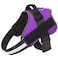 Bolux Dog Harness NoPull Reflective Dog Vest Breathable Adjustable Pet Harness with Handle for Outdoor Walking No More Pulling Tugging or Choking Purple L