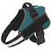 Bolux Dog Harness NoPull Reflective Dog Vest Breathable Adjustable Pet Harness with Handle for Outdoor Walking No More Pulling Tugging or Choking Turquoise L