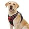 rabbitgoo Dog Harness No Pull with 2 Leash Clips Adjustable Soft Padded Reflective Oxford No Choke Pet Vest with Easy Control Handle for Large Dogs Red Plaid L