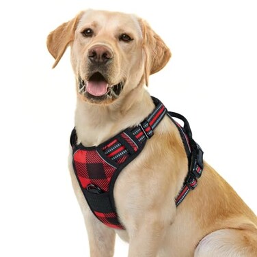 rabbitgoo Dog Harness No Pull with 2 Leash Clips Adjustable Soft Padded Reflective Oxford No Choke Pet Vest with Easy Control Handle for Large Dogs Red Plaid L