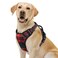 rabbitgoo Dog Harness No Pull with 2 Leash Clips Adjustable Soft Padded Reflective Oxford No Choke Pet Vest with Easy Control Handle for Large Dogs Red Plaid L