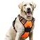 rabbitgoo Dog Harness No Pull with 2 Leash Clips Adjustable Soft Padded Reflective Oxford No Choke Pet Vest with Easy Control Handle for Large DogsOrangeL