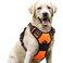 rabbitgoo Dog Harness No Pull with 2 Leash Clips Adjustable Soft Padded Reflective Oxford No Choke Pet Vest with Easy Control Handle for Large DogsOrangeL