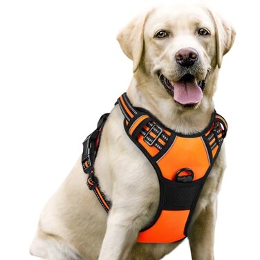 rabbitgoo Dog Harness No Pull with 2 Leash Clips Adjustable Soft Padded Reflective Oxford No Choke Pet Vest with Easy Control Handle for Large DogsOrangeL