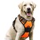 rabbitgoo Dog Harness No Pull with 2 Leash Clips Adjustable Soft Padded Reflective Oxford No Choke Pet Vest with Easy Control Handle for Large DogsOrangeL